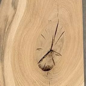 Close-up van een knoest in massief eiken